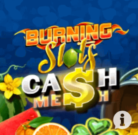 play Burning Slots in zuluspins casino